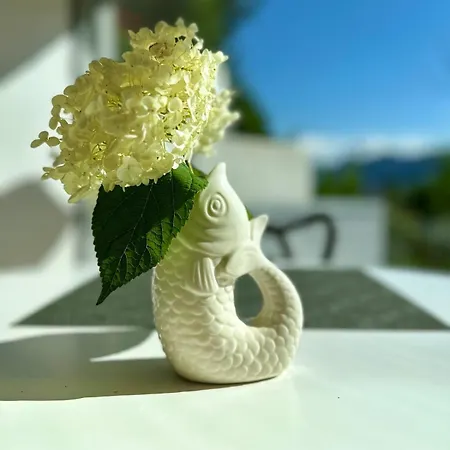 Apartman Traumsee Am Traunsee In Mit 180 Grad See- Und Traunsteinblick Gmunden