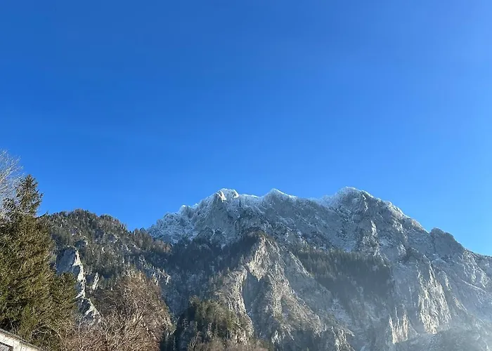 شقة Traumsee Am Traunsee In Mit 180 Grad See- Und Traunsteinblick