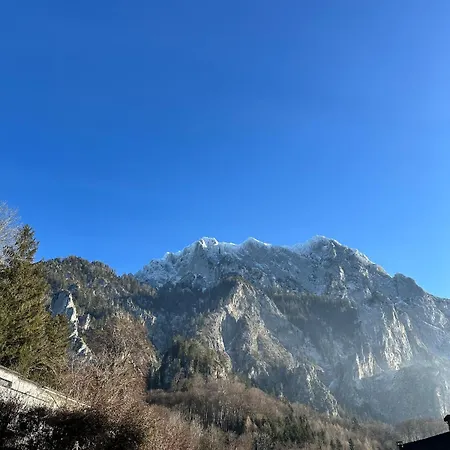 Apartmán Traumsee Am Traunsee In Mit 180 Grad See- Und Traunsteinblick