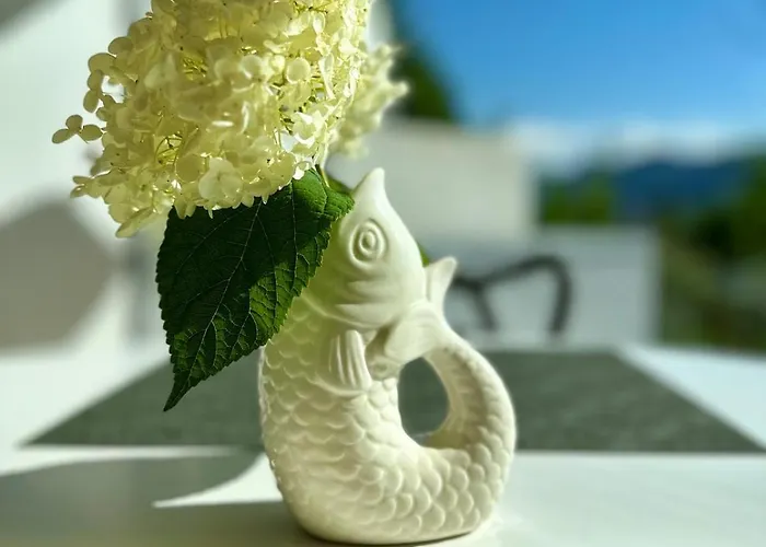 公寓 Traumsee Am Traunsee In Mit 180 Grad See- Und Traunsteinblick 格蒙登